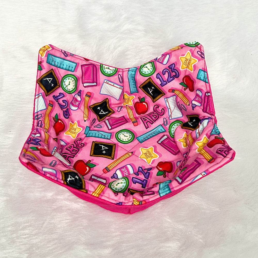 Pink Teacher Bowl Cozie