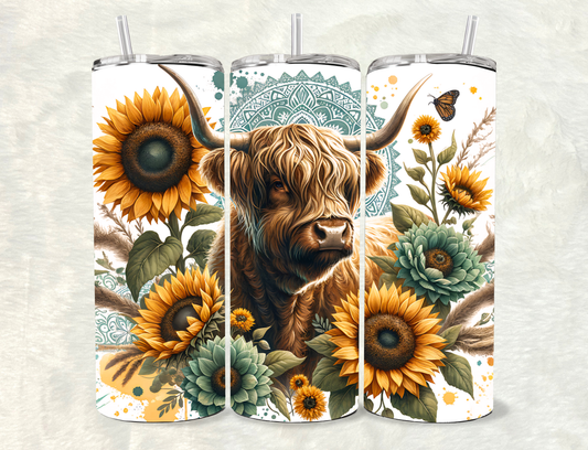 Highland Cow