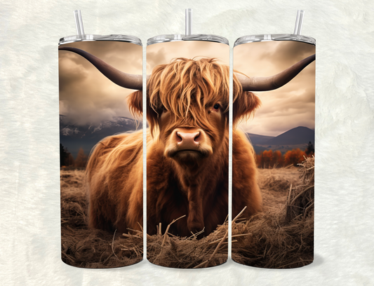 Boho Highland Cow