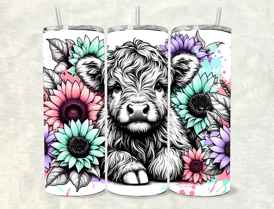 Highland Cow #2
